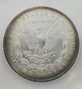 1882-CC GSA Morgan Silver Dollar, ANACS MS62