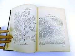 1901 The Life of Queen Victoria Antique Book