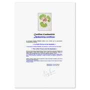 The Little Prince And The Baobabs by Antoine de Saint-Exupery (1900-1944)