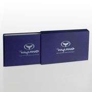 100 Whaling Walls by Wyland