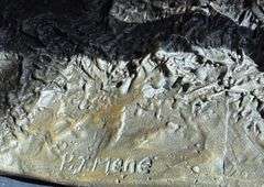 Bronze Horse Sculpture