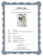 Highly Collectible and Rare Salvador Dali Original Llithograph from the 'Biblia Sacra' Suite