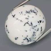 Dramatic! 35.35ct white Dendrite Opal! Untreated!
