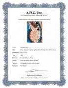 Highly Collectible and Rare Salvador Dali Original Lithograph from the 'Biblia Sacra' Suite Salvador