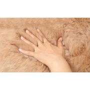 Premium Genuine Australian Sheepskin Rug