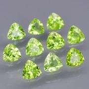 Glittering! 4.70ct 5x5mm trillion cut Peridot set