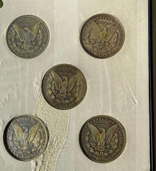Morgan Silver Dollar Set