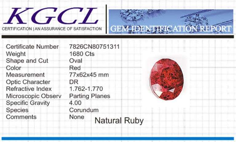 Magnificent Certified Museum Size 1680 Ct Natural Red Ruby Solitaire
