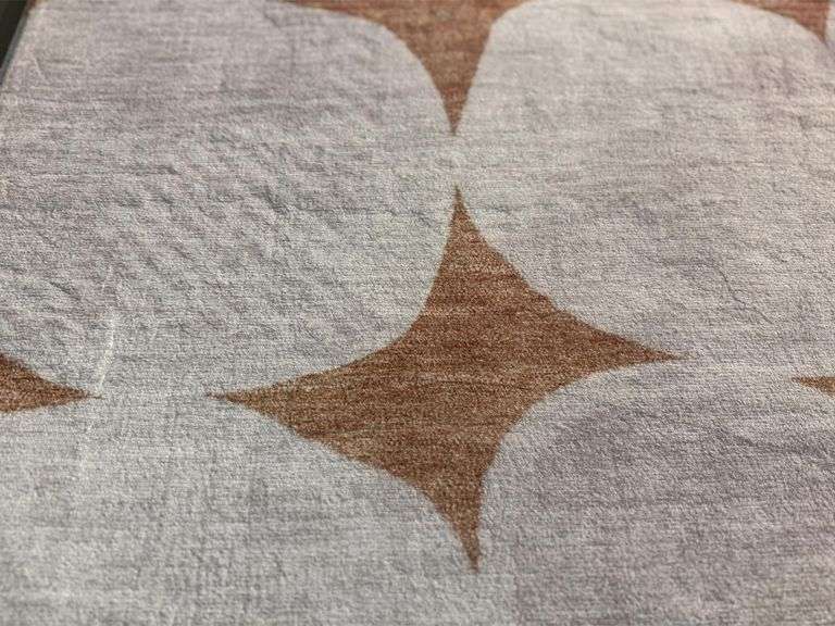 Stunning Modern Rug 6x8
