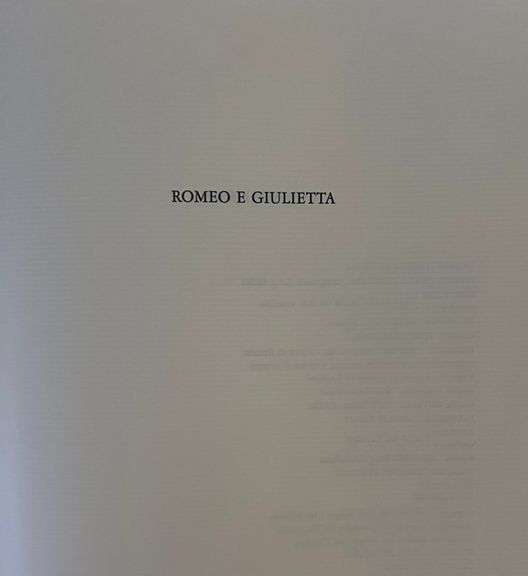 Romeo & Juliet! Dali book! Goatskin Leatherbound Book from the Milan 1975 Rizzoli