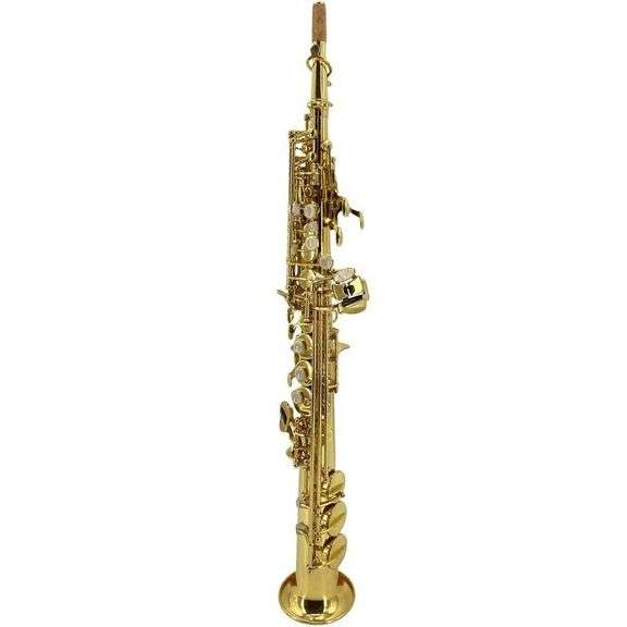 Solid Brass Saxophone with Case & Accessories