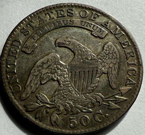 Two Tone 1831 Bust Half