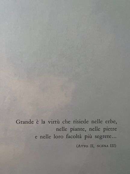 Original plate Signed Salvador Dalí Lithograph from the Romeo & Juliet Rizzoli Edition, Milan 1975