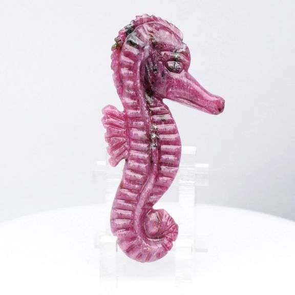 Simply adorable! 40.10ct Seahorse cut from pure Ruby!
