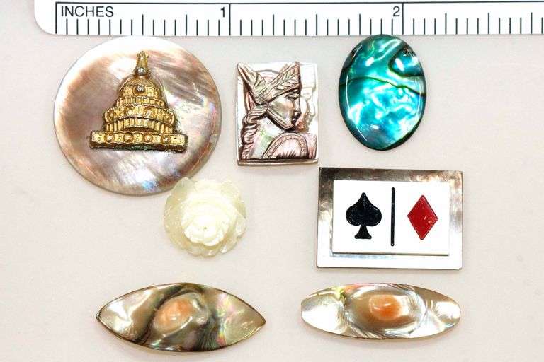 Vintage Natural Shells Lot of 7