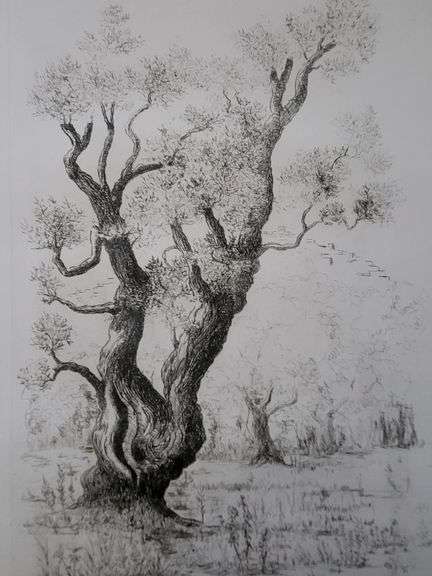 Very rare Remarkabe eoriginal etching hand signed by S.A. Boisecq