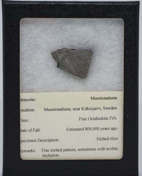 Genuine Muonionalusta Meteorite Fragment
