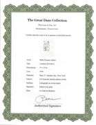 Exclusive Limited Edition Pablo Picasso Lithograph "Le Gout du Bonheur", 1970