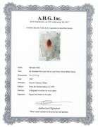 Highly Collectible and Rare Salvador Dali Original Lithograph from the 'Biblia Sacra' Suite