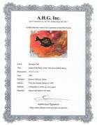 Highly Collectible and Rare Salvador Dali Original Lithograph from the 'Biblia Sacra' Suite