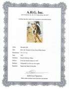 Highly Collectible and Rare Salvador Dali Original Lithograph from the 'Biblia Sacra' Suite