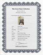 Highly Collectible and Rare Salvador Dali Original Lithograph from the 'Biblia Sacra' Suite