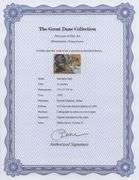 Highly Collectible and Rare Salvador Dali Original Lithograph from the 'Biblia Sacra' Suite