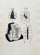 Extremely Collectible Vintage Picasso Woodcut on Paper