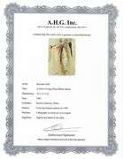 Highly Collectible and Rare Salvador Dali Original Lithograph from the 'Biblia Sacra' Suite