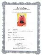 Highly Collectible and Rare Salvador Dali Original Lithograph from the 'Biblia Sacra' Suite