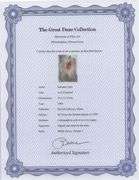 Highly Collectible and Rare Salvador Dali Original Lithograph from the 'Biblia Sacra' Suite