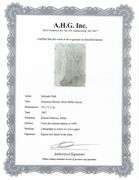 Highly Collectible and Rare Salvador Dali Original Lithograph from the 'Biblia Sacra' Suite