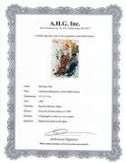 Highly Collectible and Rare Salvador Dali Original Lithograph from the 'Biblia Sacra' Suite