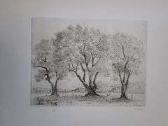 Very rare Remarkabe eoriginal etching hand signed by S.A. Boisecq