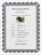 Highly Collectible and Rare Salvador Dali Original Lithograph from the 'Biblia Sacra' Suite