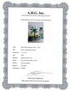 A remarkable Deluxe Edition of Les Ménines et la Vie by Pablo Picasso, published in Paris by Cercle 