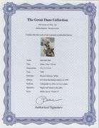 Highly Collectible and Rare Salvador Dali Original Lithograph from the 'Biblia Sacra' Suite