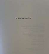 Romeo & Juliet! Dali book! Goatskin Leatherbound Book from the Milan 1975 Rizzoli