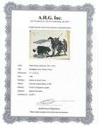 Pablo Picasso Toro "Bullfighter" Lithograph from 1960 Portfolio