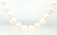 8mm Pearl strand necklace