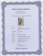 Highly Collectible and Rare Salvador Dali Original Lithograph from the 'Biblia Sacra' Suite