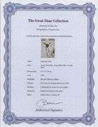 Highly Collectible and Rare Salvador Dali Original Lithograph from the 'Biblia Sacra' Suite