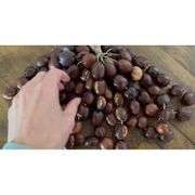 Juju Chacha Pangi Pala Percussion Rattle