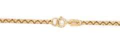 14kt Yellow gold Rolo link anklet