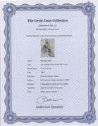 Highly Collectible and Rare Salvador Dali Original Lithograph from the 'Biblia Sacra' Suite