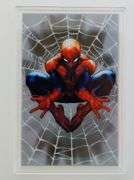Agoro 5 Gram Colorized Spiderman Card 1014/3450