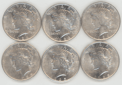 3 1924 and 3 1925 Peace Silver Dollars in slider/BU