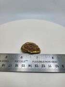 Investment Quality Australian Gold Nugget