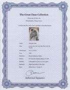 Highly Collectible and Rare Salvador Dali Original Lithograph from the 'Biblia Sacra' Suite