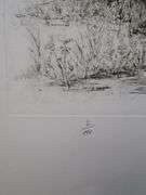 Very rare Remarkabe eoriginal etching hand signed by S.A. Boisecq